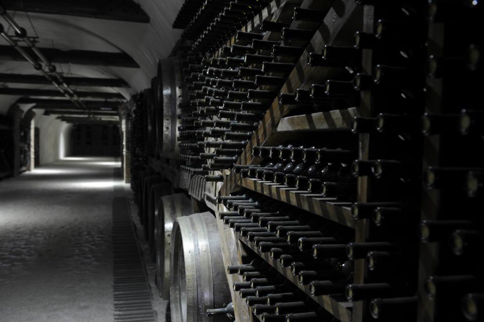 wine-tunnel-2