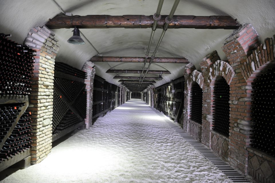 wine-tunnel-3