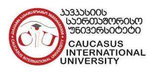 Caucasus International University Logo